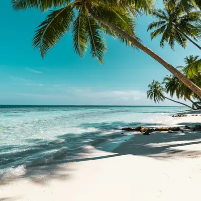 Instagram post for Accra: palm trees on a beach in full sun